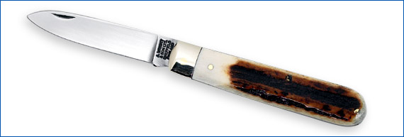 Spearpoint pocket knife